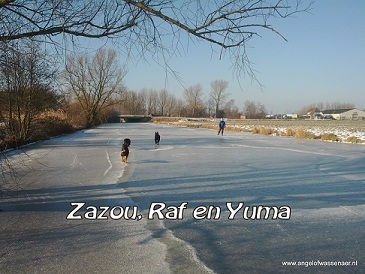 Zazou samen met Raf en Yuma op de ijssloot